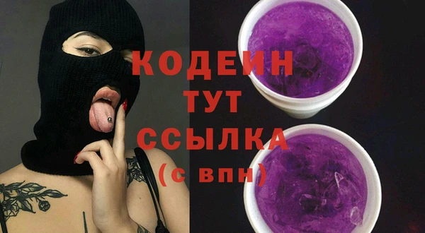 дурь Бородино