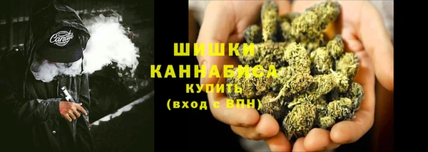 дурь Бородино