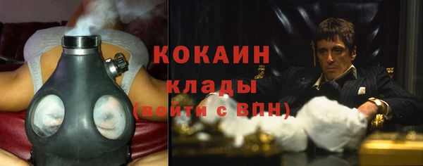 дурь Бородино
