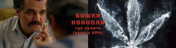 дурь Бородино