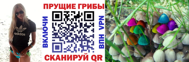 Галлюциногенные грибы MAGIC MUSHROOMS Волчанск