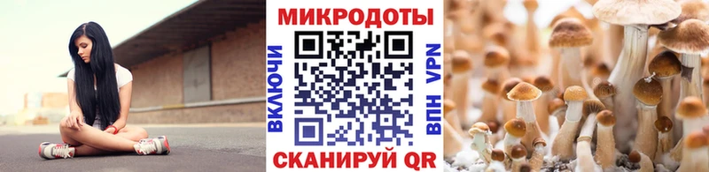 Галлюциногенные грибы Psilocybe  Волчанск 